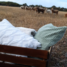 Load image into Gallery viewer, Alpaca cushions in the paddock