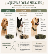 Load image into Gallery viewer, An adjustable dog collar size guide infographic showing three size categories: Small, Medium, and Large, with text sizing ranges, suitable dog breeds, and illustrations of dogs wearing the collars.