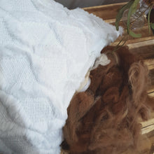 Load and play video in Gallery viewer, Alpaca Wool Cushions - Wool