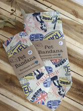 Load image into Gallery viewer, Recycled Pet Bandana&#39;s
