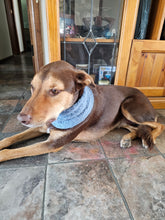 Load image into Gallery viewer, Alpaca Wool Dog Neck Warmers
