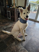 Load image into Gallery viewer, Alpaca Wool Dog Neck Warmers
