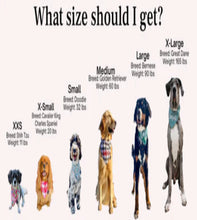 Load image into Gallery viewer, Sizing Guide
