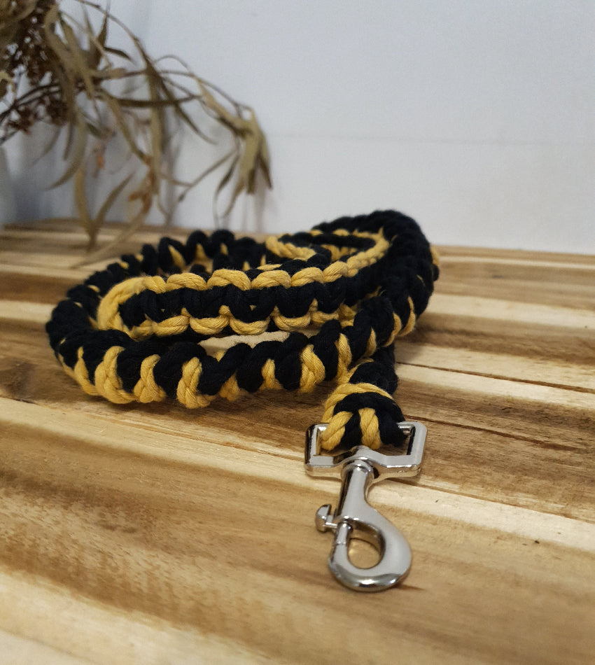 Black and yellow braided dog leash with a silver clasp on a wooden surface.