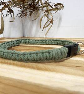 Eucalyptus Pet Collar