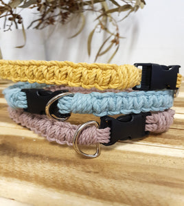 Solid Pet Collars