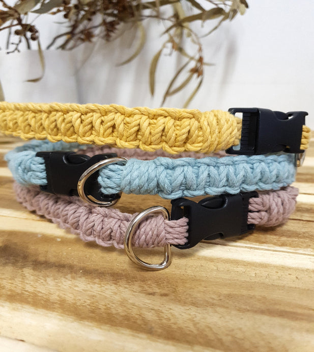 Solid Pet Collars