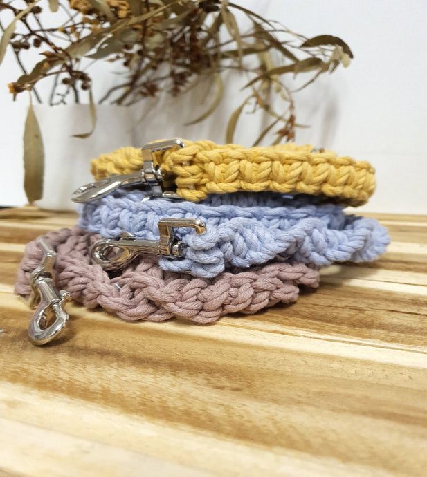 Solid Colour Pet Lead