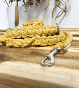 Yellow Pet Lead