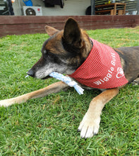 Load image into Gallery viewer, Red Bandana  - Shepherd
