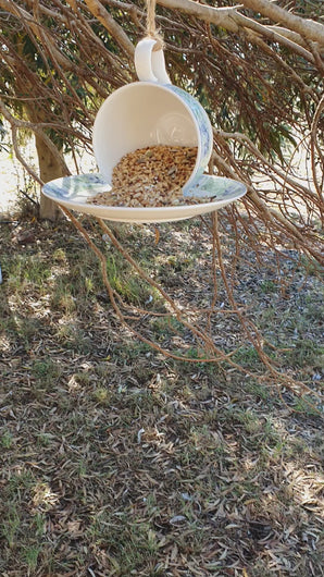 Tea-cup Birdfeeder in Tree