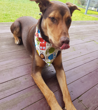 Load image into Gallery viewer, Pet Bandana&#39;s

